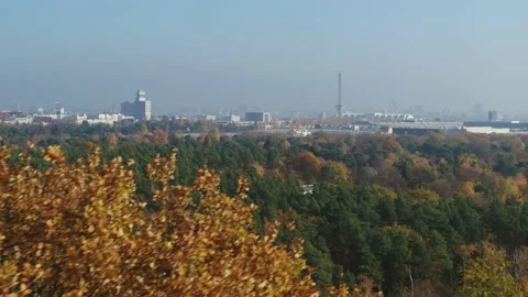 Bird's eye view over a forest with a city skyline Stock-Footage 133327909