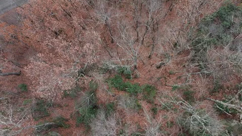 Birds eye view over the ground Stock Footage 284782668