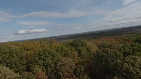 A birds eye view over trees Stock Footage