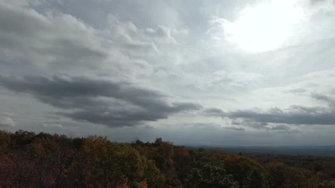 A birds eye view over trees 스톡 동영상 163938294