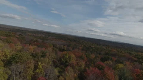 A birds eye view over trees 스톡 동영상 163938338