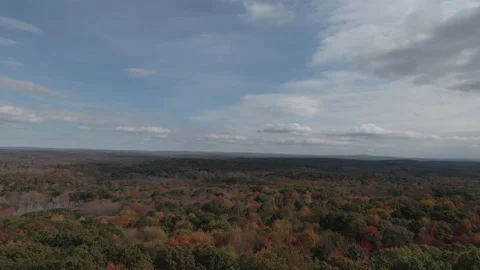 A birds eye view over trees 스톡 동영상 163972072