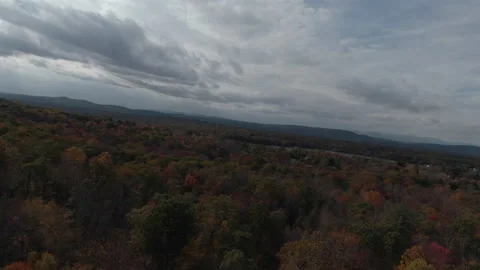 A birds eye view over trees 스톡 동영상 163972734