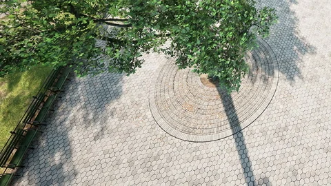 Birds eye view of park area with tree and paved walkway in sunlight Stock Footage 344106249