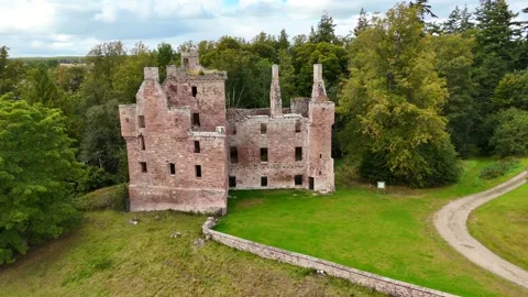 Bird's-Eye View of Redcastle Abandoned Estate and Forest Canopy Stock Footage 330666993
