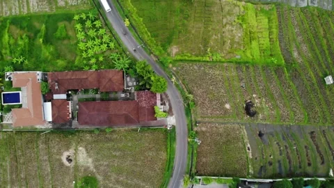 Bird's Eye View of Rice Fields in Bali, Indonesia Stock Footage 152865864