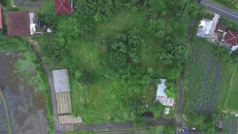 Bird's Eye View Of Rice Fields And homes In Baturiti,  Tabanan, Bali, Indonesia Stock Footage 295475853