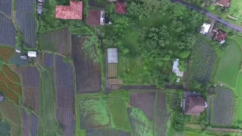 Bird's Eye View Of Rice Fields And homes In Baturiti,  Tabanan, Bali, Indonesia Stock Footage 295477327