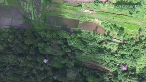 Bird's Eye View Of Rice Fields And homes In Baturiti,  Tabanan, Bali, Indonesia Stock Footage 295477913