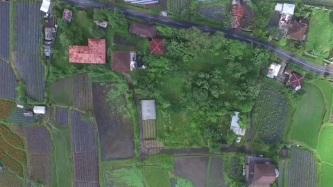 Bird's Eye View Of Rice Fields And homes... | Stock Video | Pond5