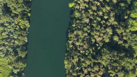 Bird's Eye View Of River With Lush Vegetation - Drone Shot Stock Footage 281640734