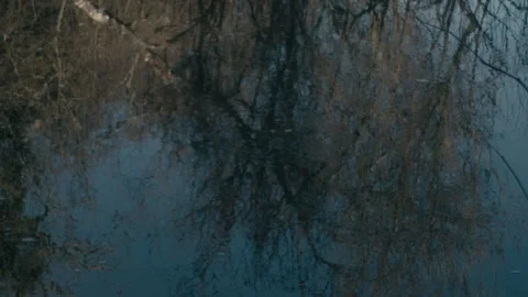 Birds Eye View of a River with Reflections of Trees Stock Footage 236146434