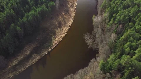 Birds eye view of river winding through green forest Video stock 333830583
