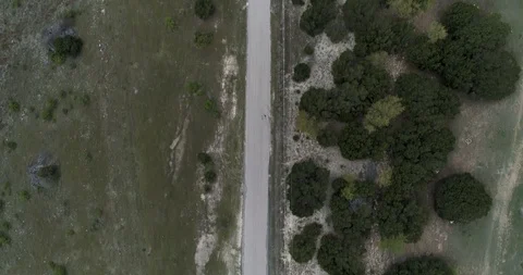 Birds eye view of road with adjacent trees and grass drone aerial 4K Stock Footage 111361999