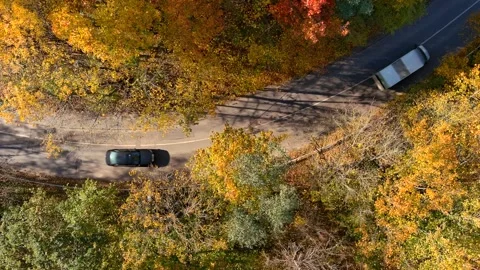 Bird's eye view of road and cars. Autumn forest on sunny day. Vilnius. Lithuania 스톡 동영상 285354533