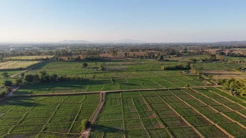 Bird’s Eye View of Rural Fields and Green Gardens Stock Footage 326176246