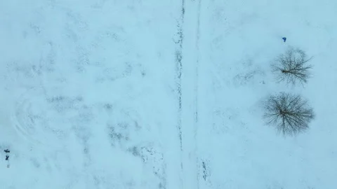 Bird's-eye view of a snow-dusted park with bare trees casting long Stock Footage 263091979