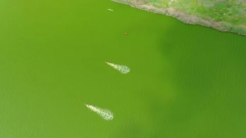 Bird's eye view of the start of an open water rowboat race at noon on a summer Stock Footage 155160171