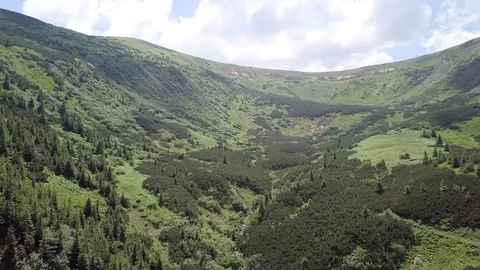 Bird's-eye view on a summer mountain landscape. Carpathians. Ukraine Stock Footage 101474561