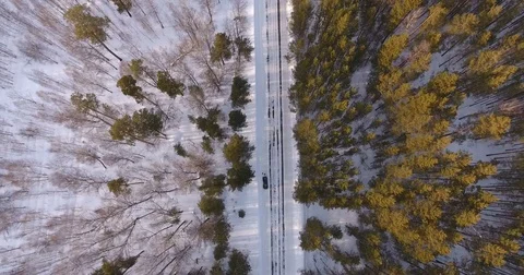 A bird's eye view of the tops of trees and a rural road Stock-Footage 74746604