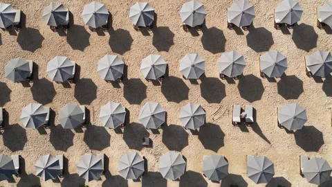Bird's eye view at tropical beach at early morning Stock Footage 311942953