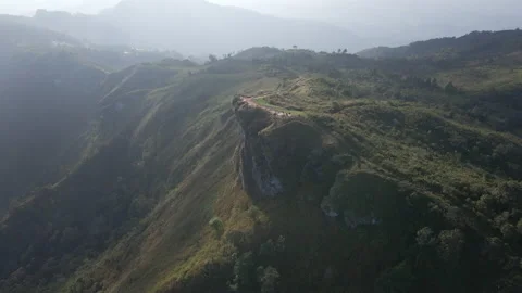 The birds eye view of the tropical forest. Stock Footage 144677706