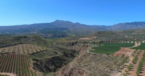 Bird's eye view of vineyard and almond fields, mountains, blue sky Vidéo 331917062