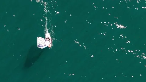 Bird's eye view of windsurfer  Stock Footage 195501059