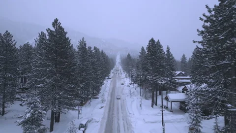 Birds eye view of winter landscape with conifer forest and snow covering terrain Stock Footage 235585207