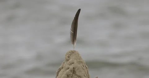 A bird's feather on the castle, the sea in the background, 4K slomo Stock Footage 258153350