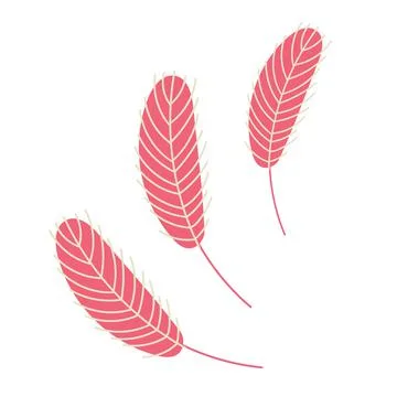 Birds feather isolated on a white background. イラスト素材
