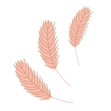 Bird's feather isolated on a white background. Chicken or goose feather イラスト素材