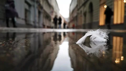 Bird's feather in a puddle with a reflection of the city and walking people. Stock Footage 139468976