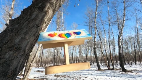 Birds at the feed trough Stock Footage 149026035