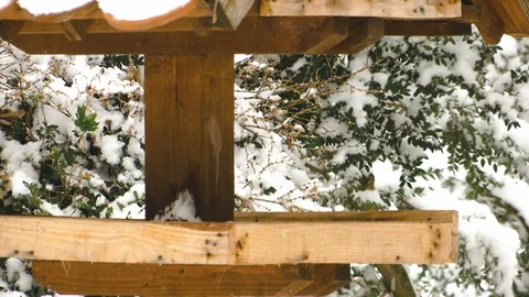 Birds feeder in the park Stockbeeldmateriaal 100718713