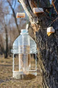 Birds feeder 库存照片