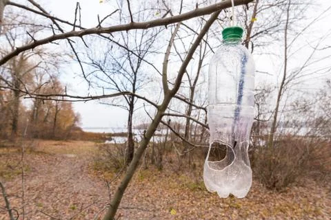 Birds Feeder 写真素材