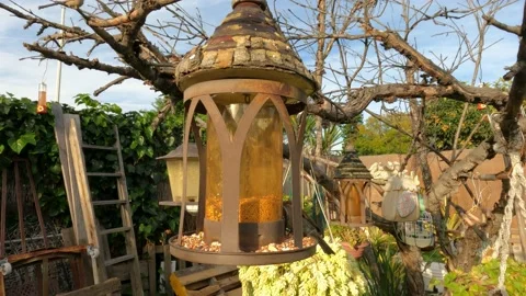 Birds feeding Video stock 152426833