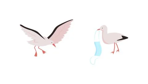 Birds flat color vector character set Stock Illustration