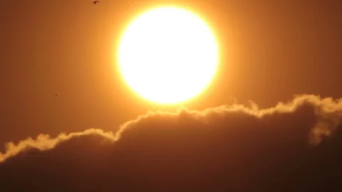 Birds flies over cloudscape in sunny sky Stock Footage 96340323