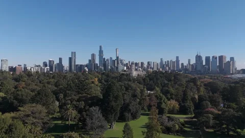 Birds Flies Over Park On Sunny Day With Melbourne City Skyline In Background Stock Footage 274611953