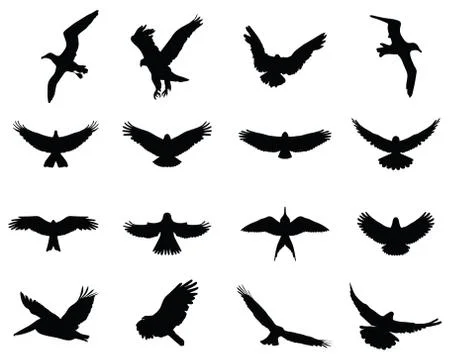 Birds in flight Stock Illustration