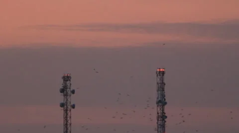 Birds flight through two metal towers Stock Footage 33216501
