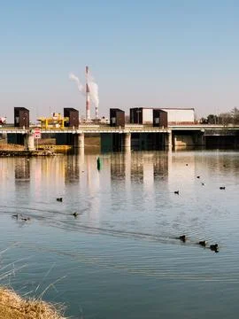 Birds float across reflective river beside factory zone, urban ecology takes Stock-Fotos