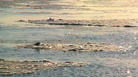 Birds Floating Down A Frozen River. Scottish Countryside. Stock Footage 10607106