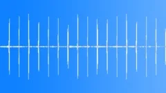 Birds flock crows trees jungle forestSound Effect