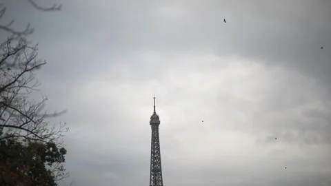 Birds flock flying around the Eiffel tower in Paris, France Stock Footage 317078637