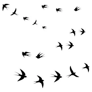 Birds flock Stock Illustration
