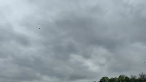 Birds, flocking group soaring through a vast natural cloudy sky, dark Stock Footage 333163765