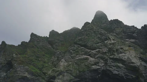 Birds fly around the cliffs of Boreray, St Kilda, Scotland Stock Footage 229743078